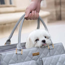 [COMPRE 1 LEVE 2] Bolsa de Transporte Premium + BRINDES EXCLUSIVOS