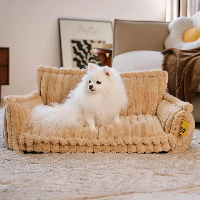 Cama Sofá Pet Ortopédica