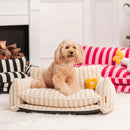 [ÚLTIMAS UNIDADES] Sofá Cama Ortopédico Trendy™ - Escadinha Pet + Pelúcia de BRINDE