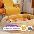 Cama Ortopédica Donut™ + 2 Brindes Incríveis