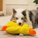 [COMPRE 1 E LEVE 2] Pelúcia Pato Amigo - A melhor companhia para o seu Pet