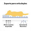 [ÚLTIMAS UNIDADES] Cama Ortopédica Caverna - Escadinha Pet + Pelúcia de BRINDE